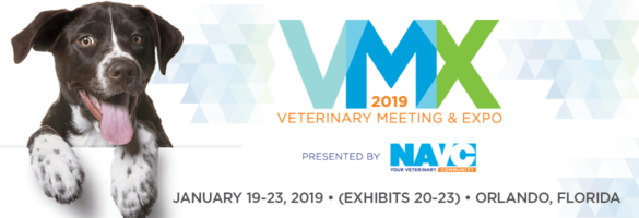 VMX 2019